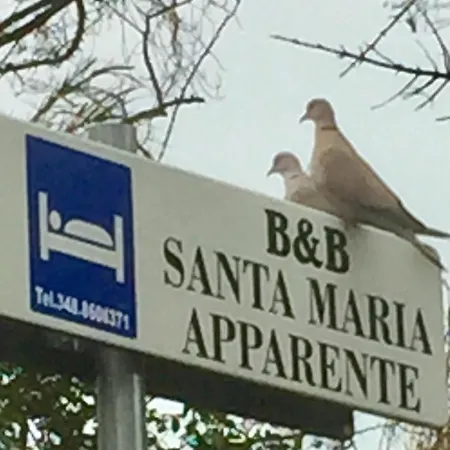 Monolocali Santa Maria Apparente * Civitanova Marche